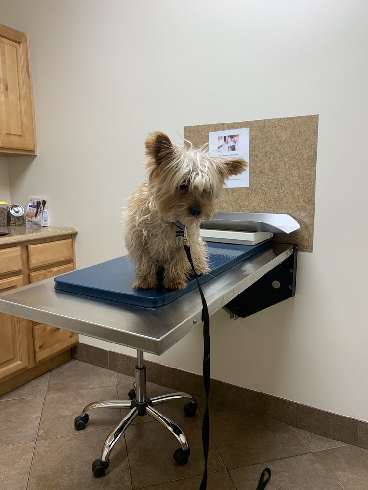 LONE PEAK VETERINARY HOSPITAL Updated September 2024 13 Photos & 38 Reviews 12444 S 300th