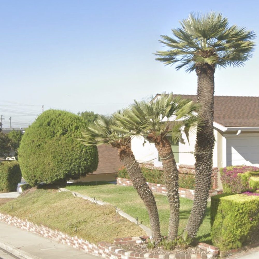 Affordable Tree Service - Tree Services Near Me Affordable Tree Service - Tree Services Near Me