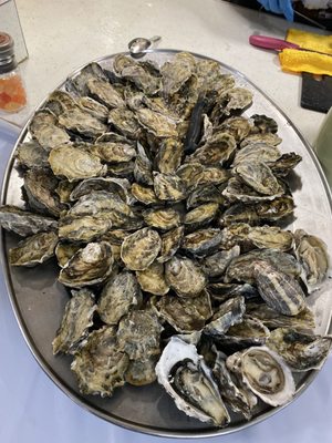 Irving Seafood Market by null