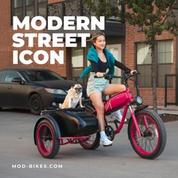 A modern street icon! Cruise Austin in style with your furry copilot in the MOD Easy SideCar. HSA/FSA eligible! Test ride at our HQ.