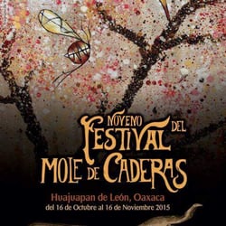 Festival del Mole de Caderas - Festival Mole de Caderas.