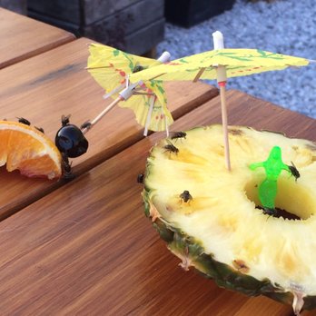 Sabai - They said the flies love their food! SERIOUSLY??? - Bars Near Me - Richmond, Virginia Sabai - They said the flies love their food! SERIOUSLY??? - Bars Near Me - Richmond, Virginia