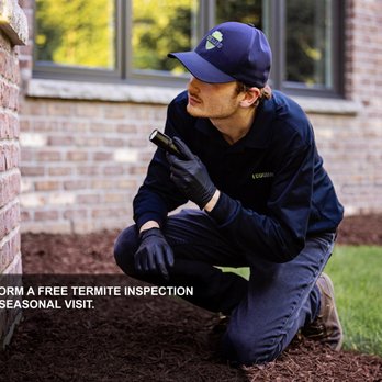 Ecoguard - Pest Control Near Me - Glen Ellyn, Illinois Ecoguard - Pest Control Near Me - Glen Ellyn, Illinois
