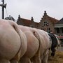 Photo of Bowling Schagen