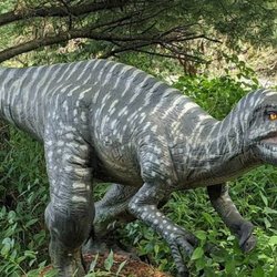 Canada’s Dinosaur Park