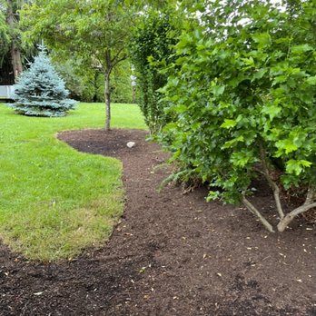 Partners Landscaping - a path between two trees - Landscaping Near Me - Lakewood, Washington Partners Landscaping - a path between two trees - Landscaping Near Me - Lakewood, Washington