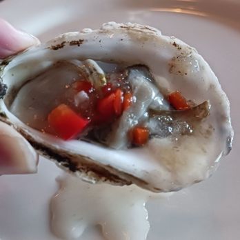 Lure Lakebar - OYSTERS - New American Near Me - Alexandria, Minnesota Lure Lakebar - OYSTERS - New American Near Me - Alexandria, Minnesota