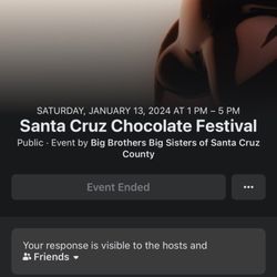 I wouldn't consider a festival where only about five or six booths had anything chocolate