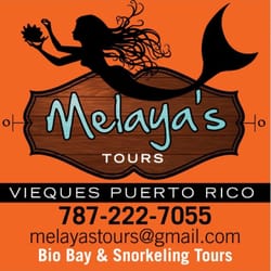 Melaya's Tours - Our goal is give you the best service so you can enjoy and have the most wonderful experience in the Bio Bay.