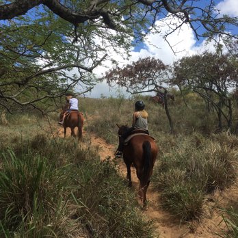 CJM Stables - Horseback Riding Near Me