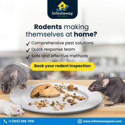 Infestaway Pest Control - Don't let rodents move in.  Keep your home safe.