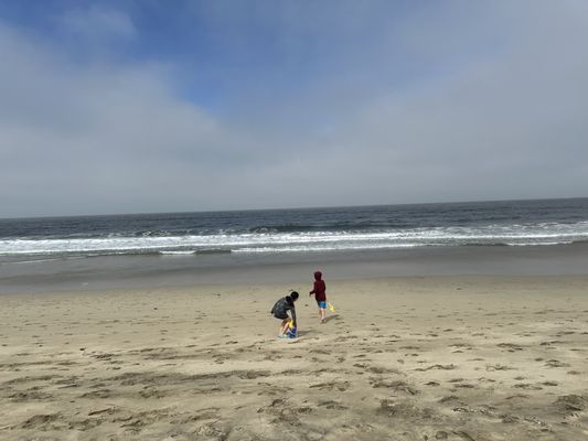 Dunes Beach by null