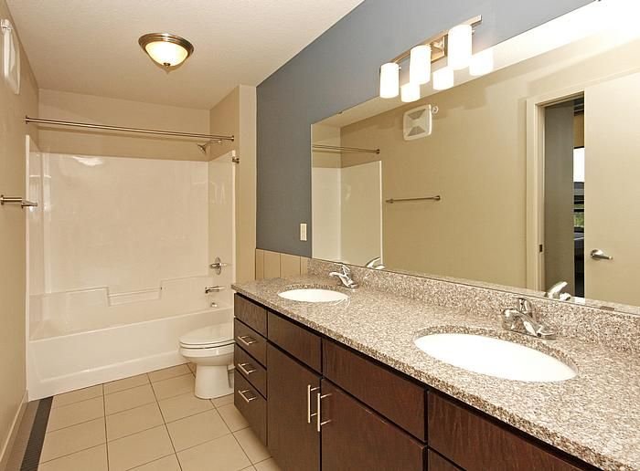 THE ELYSIAN 711 4th St SE, Minneapolis, Minnesota Apartments