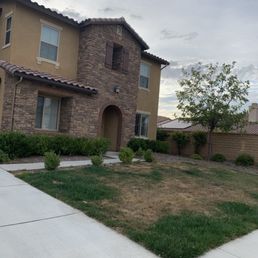 Front yard Front yard