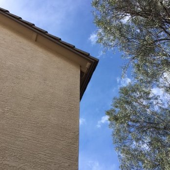 Tree Service Valle Del Sol - Removed big limb - Tree Services Near Me Tree Service Valle Del Sol - Removed big limb - Tree Services Near Me