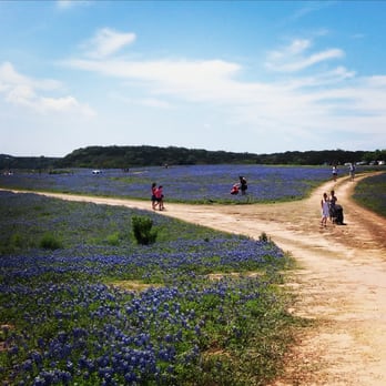 Muleshoe Bend Recreation Area - Parks Near Me - Spicewood, Texas Muleshoe Bend Recreation Area - Parks Near Me - Spicewood, Texas