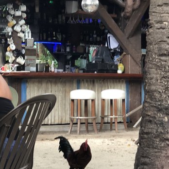 Blue Heaven - Here comes the rooster - Breakfast & Brunch Near Me - Key West, Florida