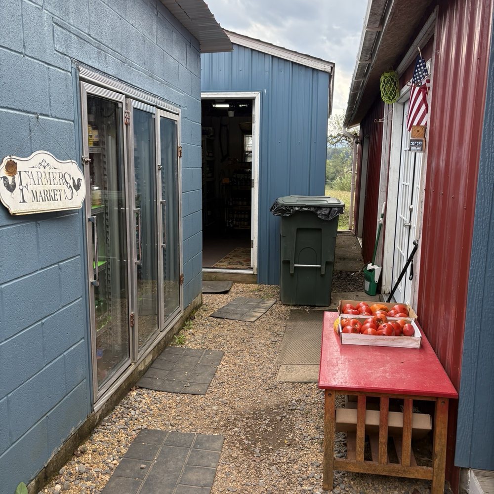 TOP 10 BEST Apple Picking Farm near Bealeton, VA - Updated 2026 - Yelp