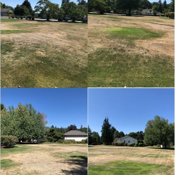 C and D Landscape Co. - The lawn is green where the Irrigation heads pop up. - Landscaping Near Me - Dayton, Oregon C and D Landscape Co. - The lawn is green where the Irrigation heads pop up. - Landscaping Near Me - Dayton, Oregon