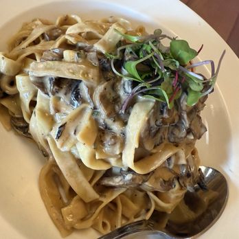 Pezzi Del Mio Cuore - Fettuccine Funghi - Italian Near Me - San Diego, California Pezzi Del Mio Cuore - Fettuccine Funghi - Italian Near Me - San Diego, California