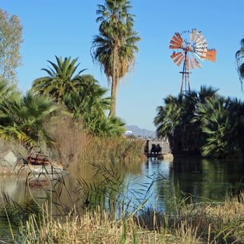 Yuma Conservation Garden - Birds and other creatures LOVE this place!! I told ya, it's an OASIS!!! - Parks Near Me - Yuma, Arizona Yuma Conservation Garden - Birds and other creatures LOVE this place!! I told ya, it's an OASIS!!! - Parks Near Me - Yuma, Arizona