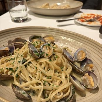 Divino Ristorante - Linguine con Vongole - Italian Near Me - Belmont, California