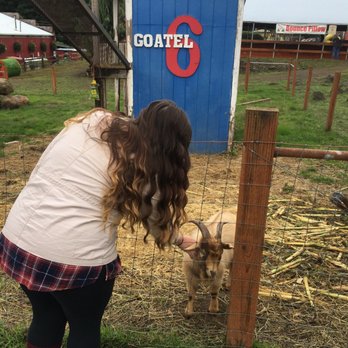 Lee Farms - Petting zoo - Christmas Trees Near Me - Tualatin, Oregon Lee Farms - Petting zoo - Christmas Trees Near Me - Tualatin, Oregon