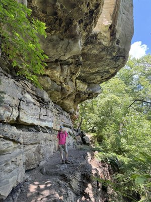 Hawks Nest State Park by null