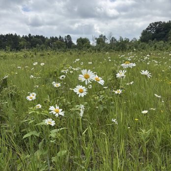 Afton State Park - Parks Near Me - Hastings, Minnesota
