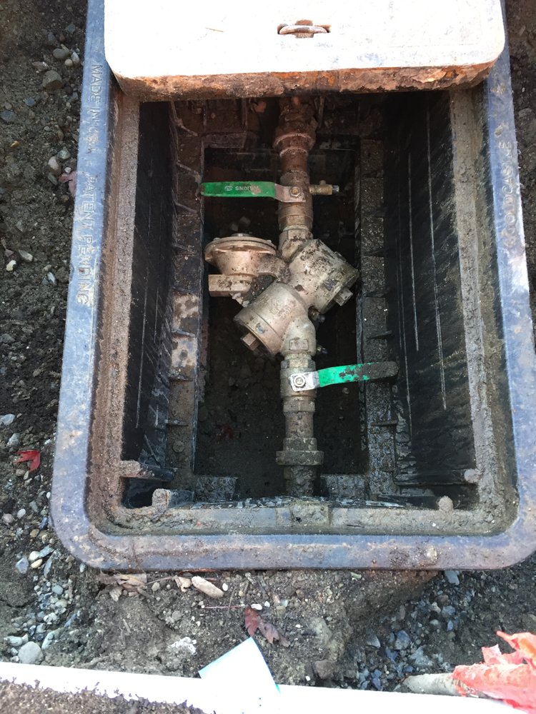 Slide of A+ Backflow