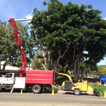 Sunset Tree & Landscape Services - Tree Services Near Me - San Diego, California Sunset Tree & Landscape Services - Tree Services Near Me - San Diego, California