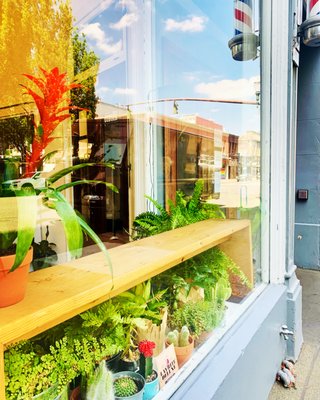 Whats The Buzz Haircut