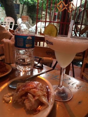 El Cardenal Cantina by null