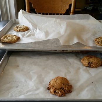 An Octopus' Garden Cafe - Cookies! - Cafes Near Me - Alma, New Brunswick An Octopus' Garden Cafe - Cookies! - Cafes Near Me - Alma, New Brunswick