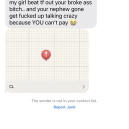 The mover harassing me threatening me through text. The mover harassing me threatening me through text.