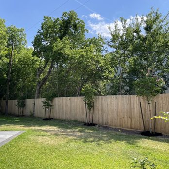 Moon Valley Nurseries - Crepe Myrtles - Nurseries & Gardening Near Me - Houston, Texas