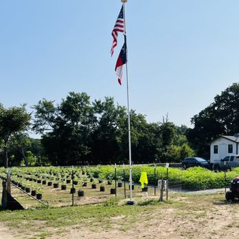 Lone Star Moringa - The Farm - Nurseries & Gardening Near Me - Tool, Texas Lone Star Moringa - The Farm - Nurseries & Gardening Near Me - Tool, Texas