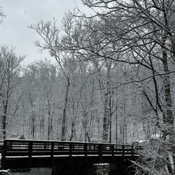 Stephens State Park