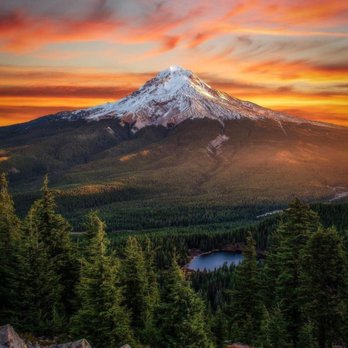 Daniel Barger & Associates - Payroll Services Near Me - Vancouver, Washington Daniel Barger & Associates - Payroll Services Near Me - Vancouver, Washington