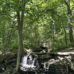 Parkville Nature Sanctuary