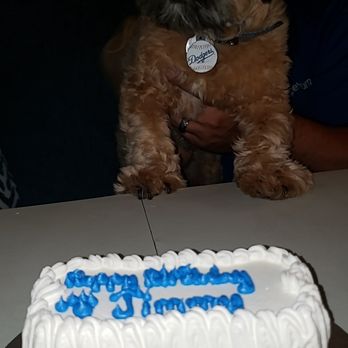 Redondo Dog - Pet Services Near Me - Carson, California