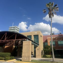 RAYUS Radiology