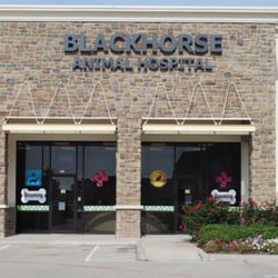 Blackhorse Animal Hospital