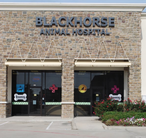 Blackhorse Animal Hospital Image