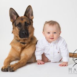 Lebenshunger German Shepherds - This kid pooped in his diaper so take the damn picture because I'm out in 3-2-1...