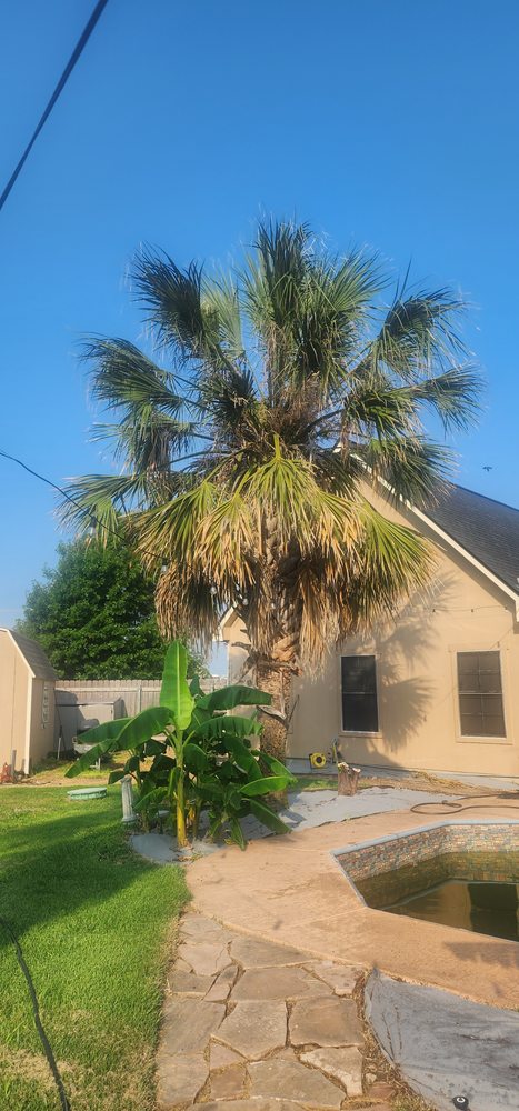 Slide of Gladiator Tree Experts & Landscaping