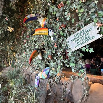 Rainforest Cafe - Rainforest decor - American Near Me - Atlantic City, New Jersey