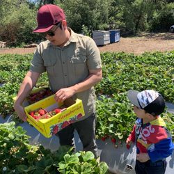 Live Earth Farm - Haru having fun with daddy