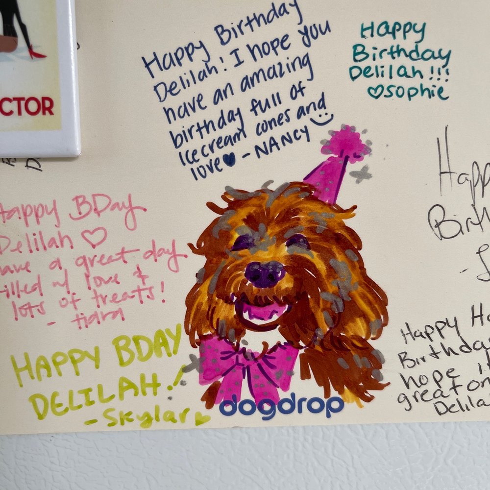 Dogdrop - Birthday wishes from the Dogdrop team - Pet Sitting Near Me - Los Angeles, California Dogdrop - Birthday wishes from the Dogdrop team - Pet Sitting Near Me - Los Angeles, California