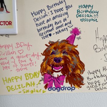 Dogdrop - Birthday wishes from the Dogdrop team - Pet Sitting Near Me - Los Angeles, California Dogdrop - Birthday wishes from the Dogdrop team - Pet Sitting Near Me - Los Angeles, California